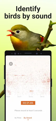 Picture Bird - Bird Identifier Capture d'écran 3