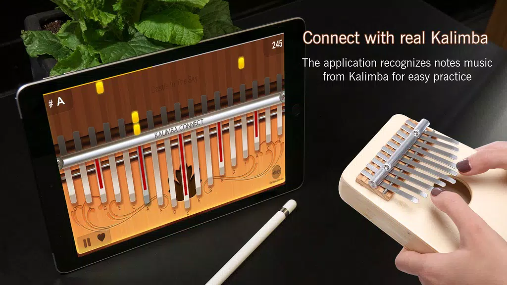 Kalimba Connect Ekran Görüntüsü 0