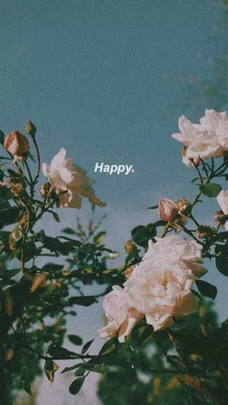 Schermata aesthetic background 0