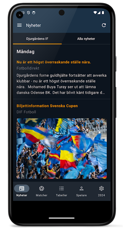 Allsvenskan 2024 ဖန်သားပြင်ဓာတ်ပုံ 0