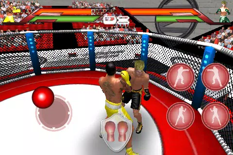 Schermata Virtual Boxing 0
