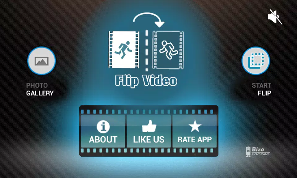 Flip Video FX Screenshot 0