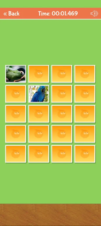 Birds Memory Match Game Screenshot 2