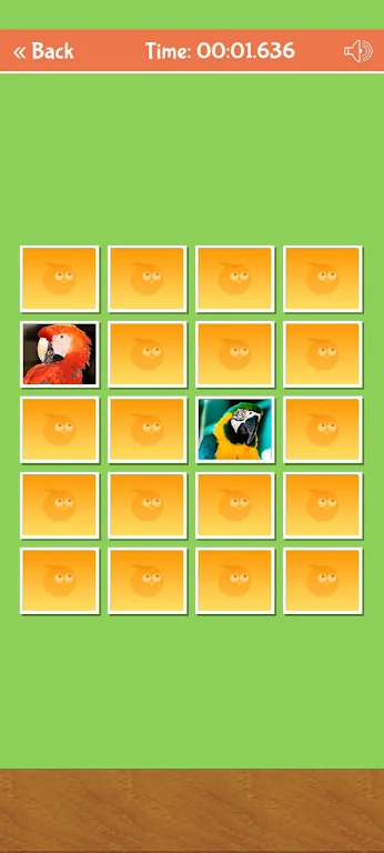 Birds Memory Match Game Screenshot 3