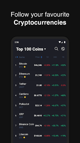 Hodler – Crypto Portfolio Schermafbeelding 0