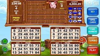 Video Bingo Little Farm 스크린샷 2