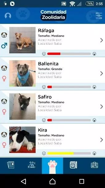 Schermata Distrito Appnimal 0
