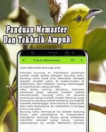 Suara Burung Sirtu Pikat MP3 Offline স্ক্রিনশট 3