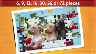 Dogs Jigsaw Puzzle Game Kids Screenshot 2