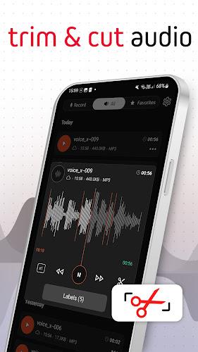 Voice Recorder Pro - VoiceX Ảnh chụp màn hình 1