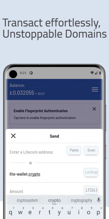 Schermata Litewallet 1