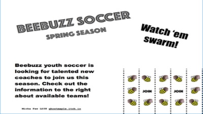 Beebuzz Soccer Screenshot 1