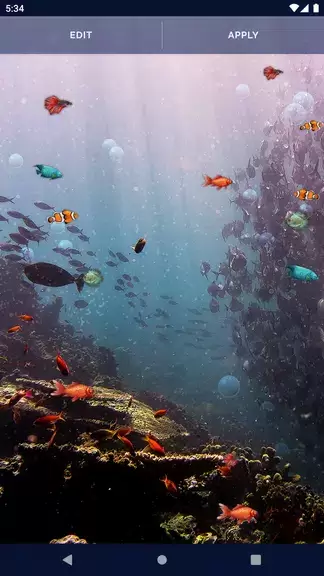 Ocean Fish Live Wallpaper 4K Capture d'écran 3