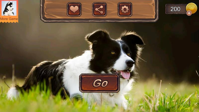 Border Collie Simulator Ảnh chụp màn hình 2