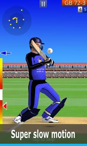 Smashing Cricket スクリーンショット 0