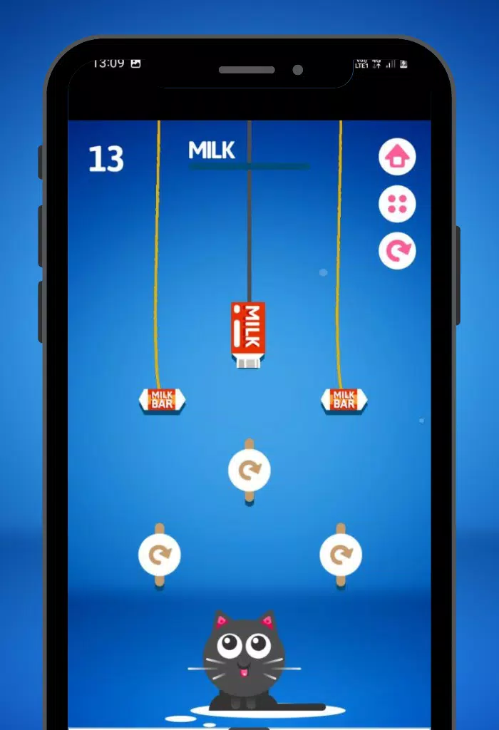 Feed the Kitty Cat Game Скриншот 2