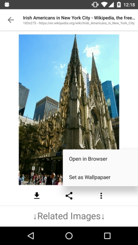 ImageSearchMan – Image Search 螢幕截圖 2