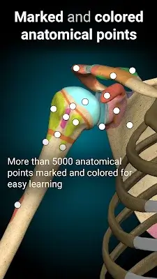 Anatomy Learning - 3D Anatomy ภาพหน้าจอ 2