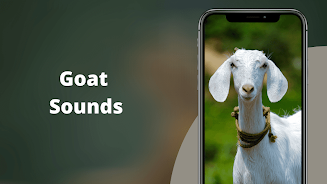 Goat Sounds স্ক্রিনশট 0