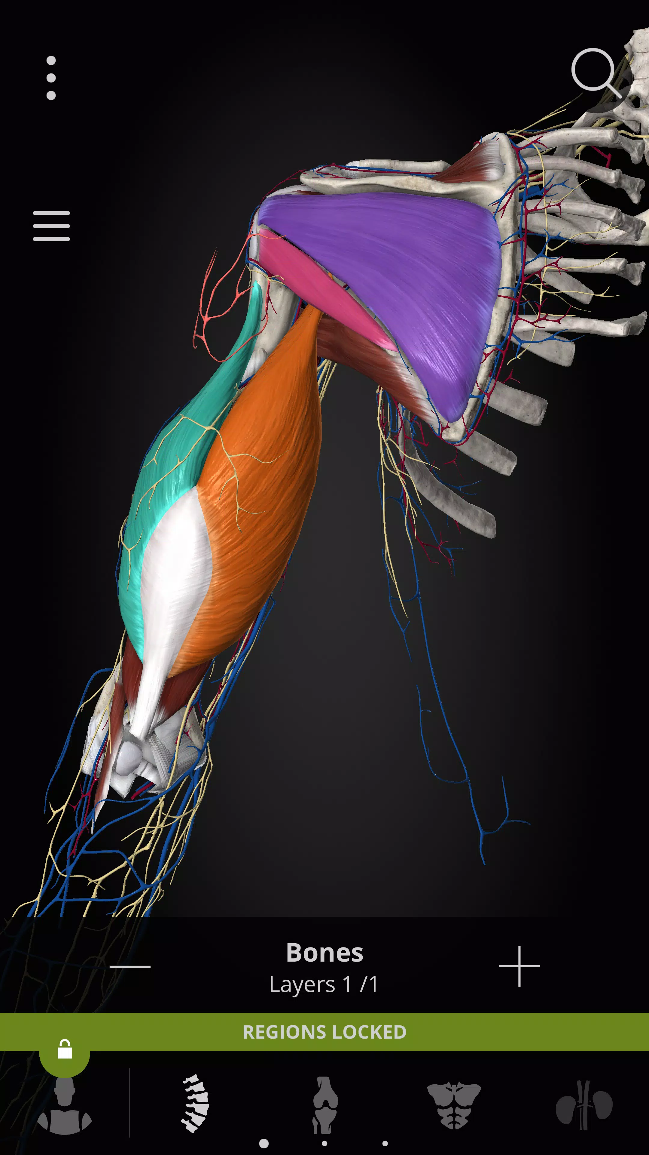 Anatomyka - 3D Anatomy Atlas 스크린샷 3