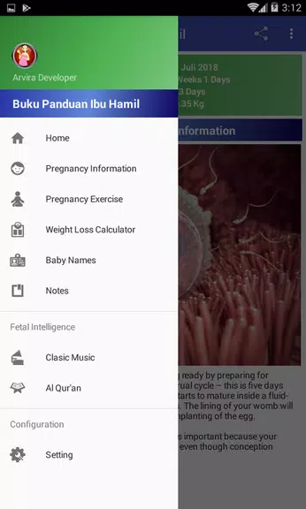 Pregnancy Guide Ảnh chụp màn hình 1