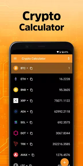 Crypto Calculator Ảnh chụp màn hình 2