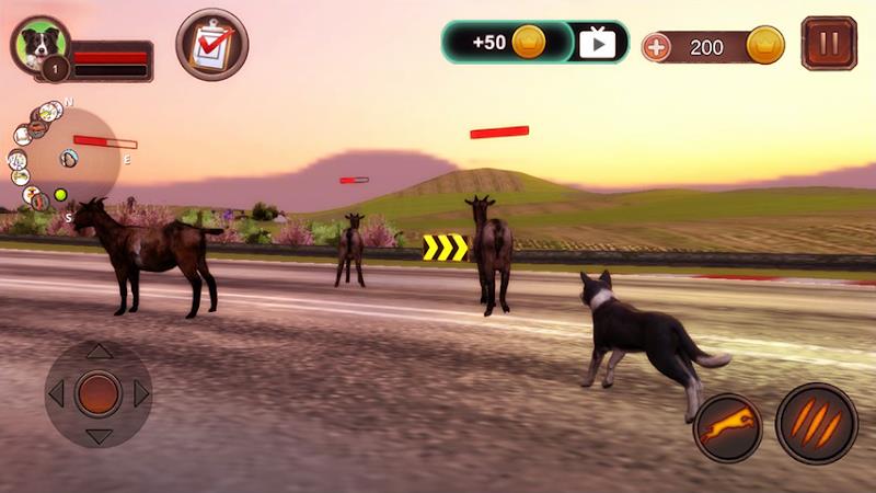 Border Collie Simulator Ảnh chụp màn hình 1