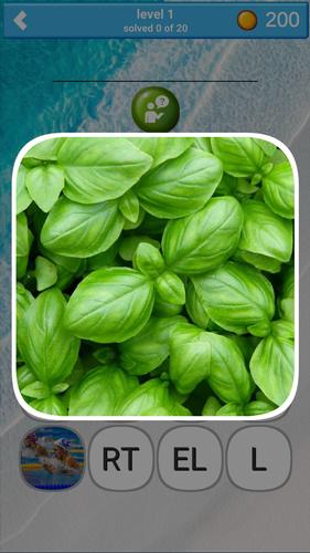 780 words Скриншот 3