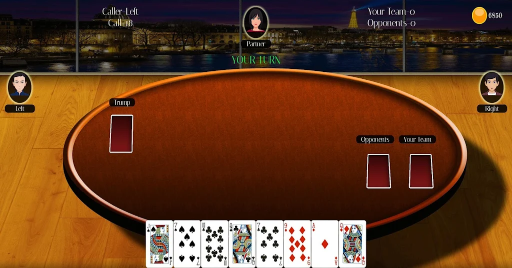 29 Card Game Lite Captura de pantalla 2
