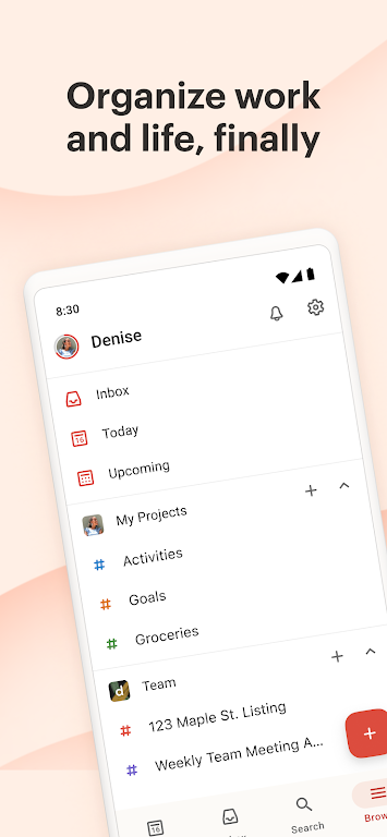 Todoist：待辦列表&計劃 螢幕截圖 0