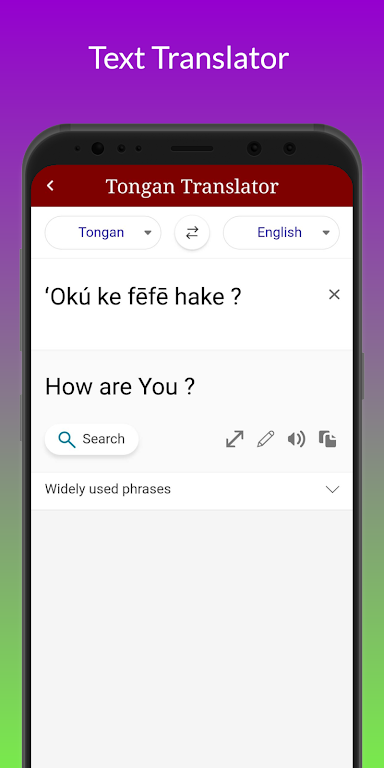 Tongan Translator Ảnh chụp màn hình 2