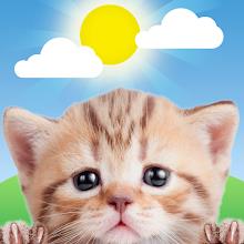 Weather Kitty - App & Widget