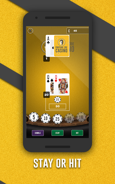 Fortune Joe Casino Screenshot 2