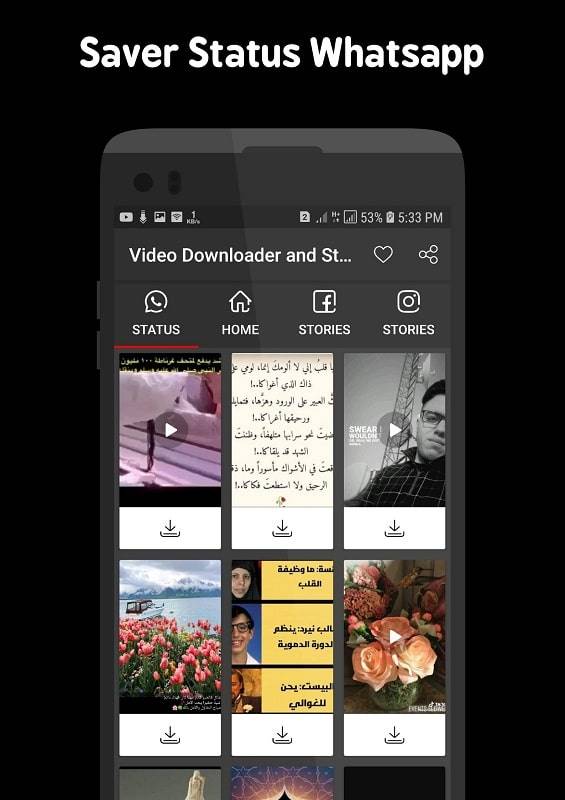 Video Downloader and Stories Screenshot 2