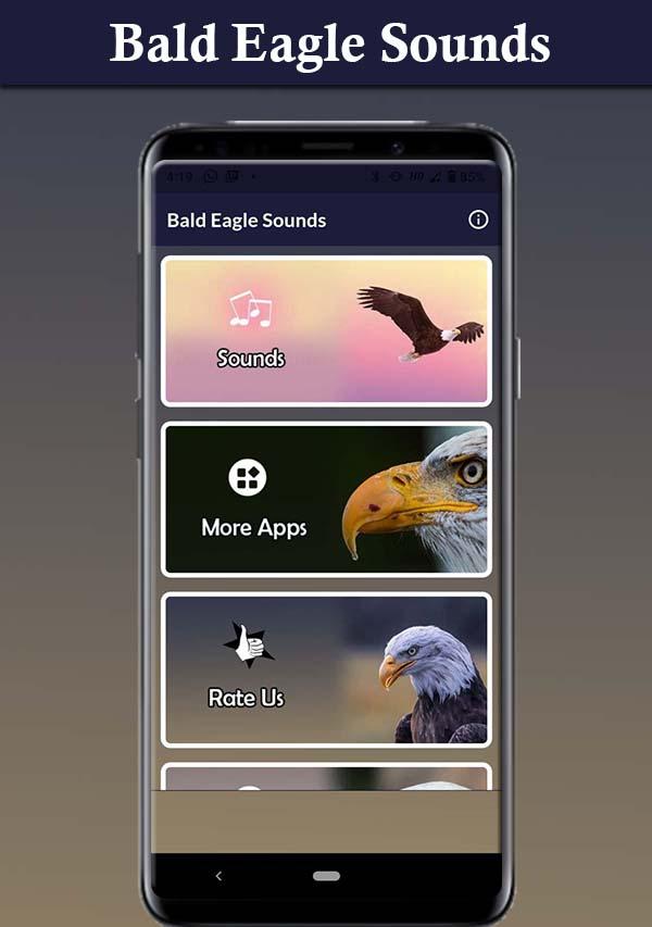 Bald Eagle Sounds Скриншот 2