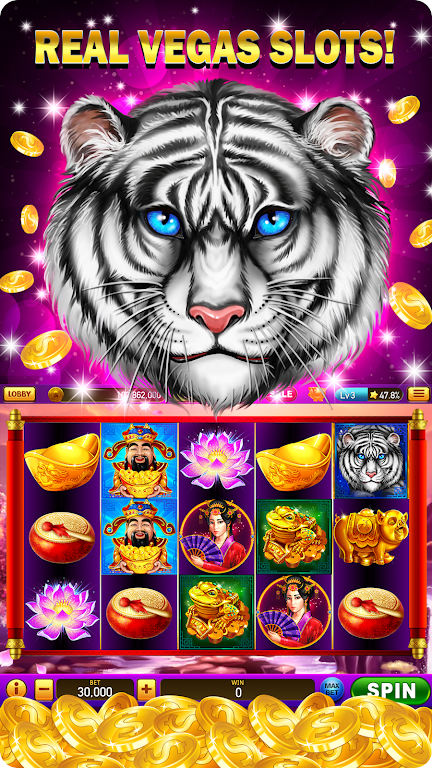 Slots - Lucky Slot Casino Wins ဖန်သားပြင်ဓာတ်ပုံ 0