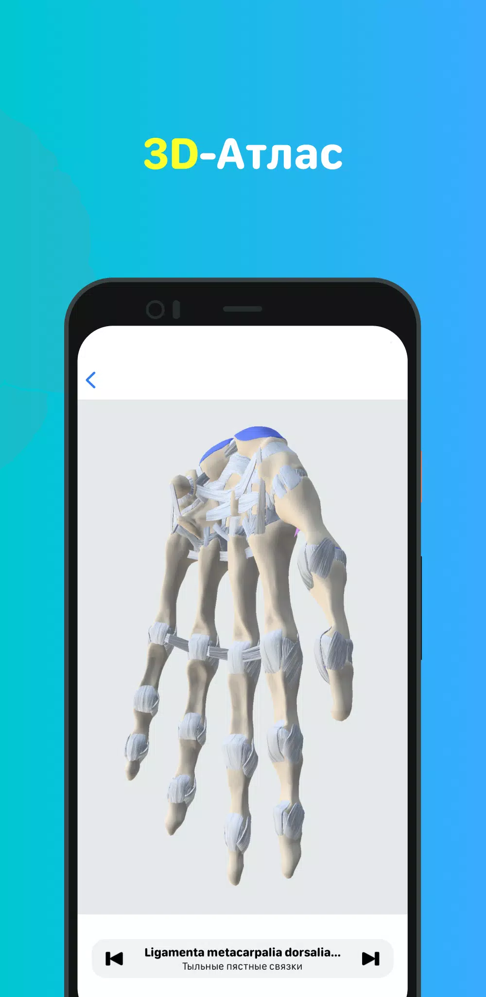 Учи Мед (Учи Анат) Captura de tela 3