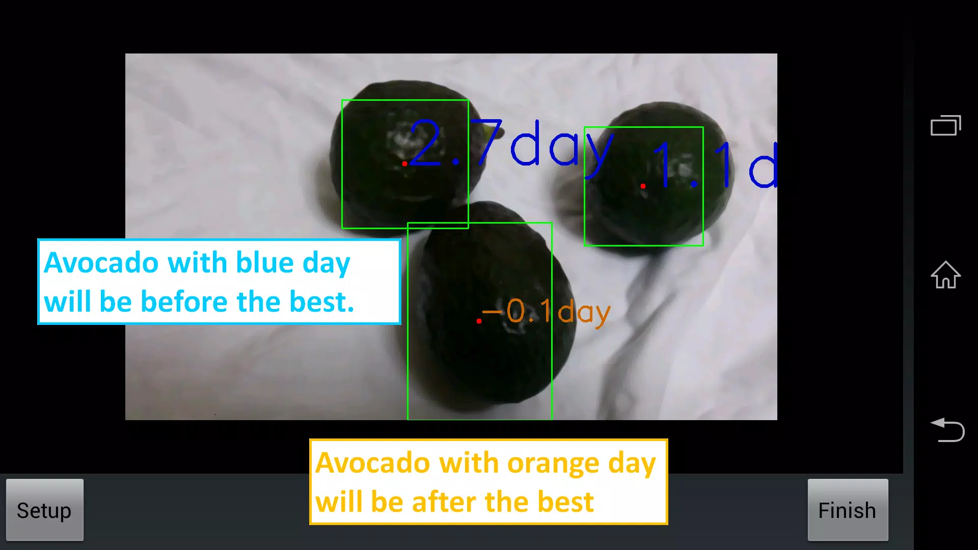 Avocado Checker Screenshot 3