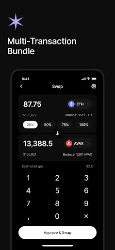 Schermata Holdstation Crypto Wallet 0