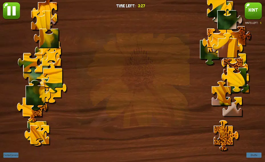 Complete the Canvas Puzzle 螢幕截圖 2