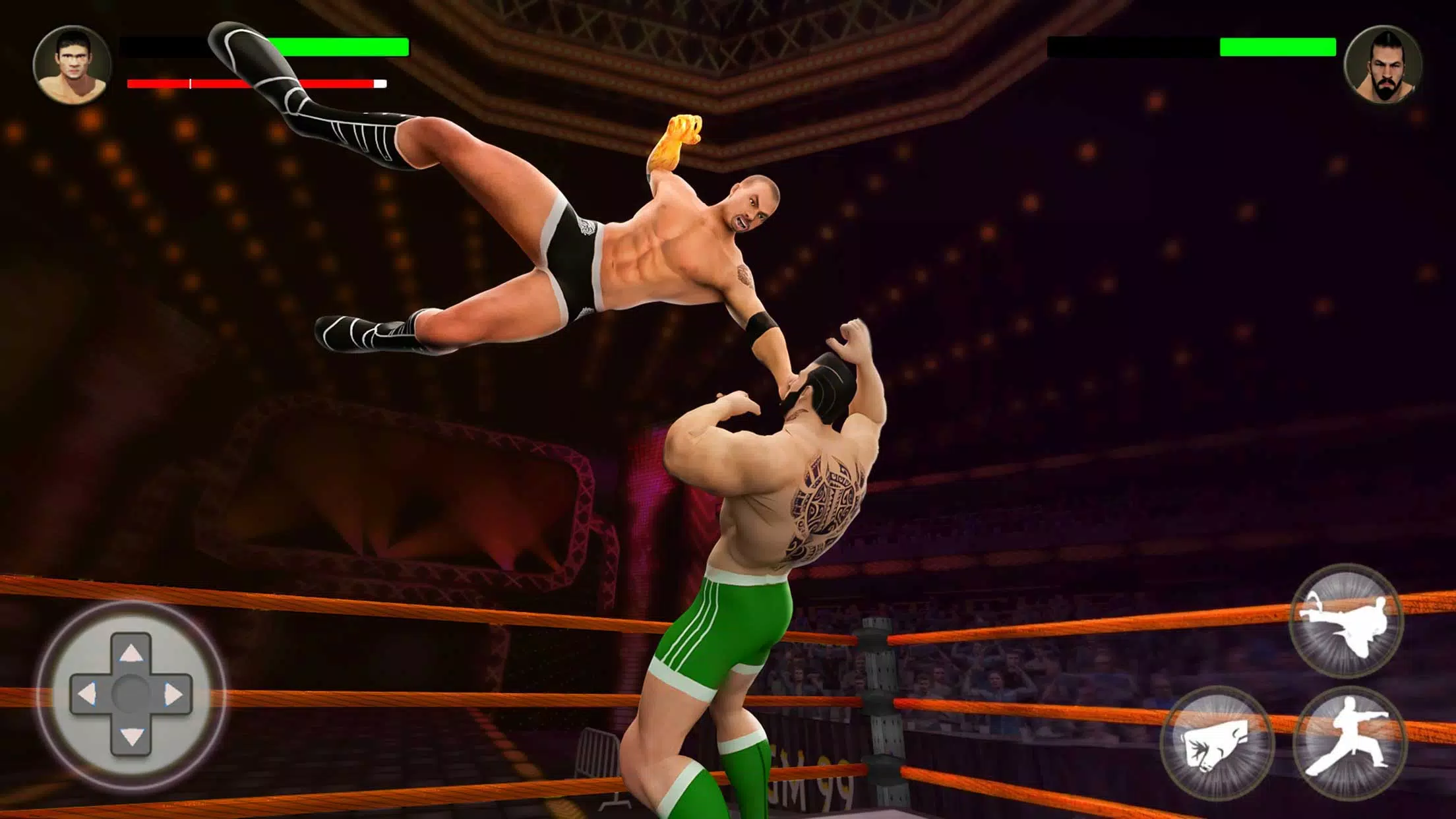 Schermata PRO Wrestling Fighting Game 0