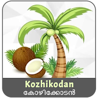 Kozhikodan VPN