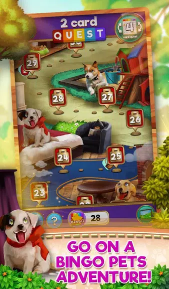 Bingo Pets Party: Dog Days应用截图第1张